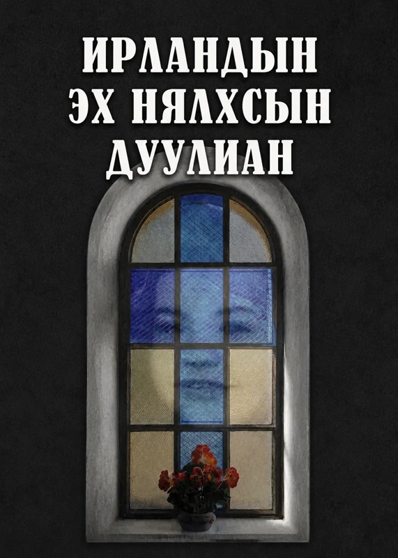 Ирландын эх нялхсын дуулиан