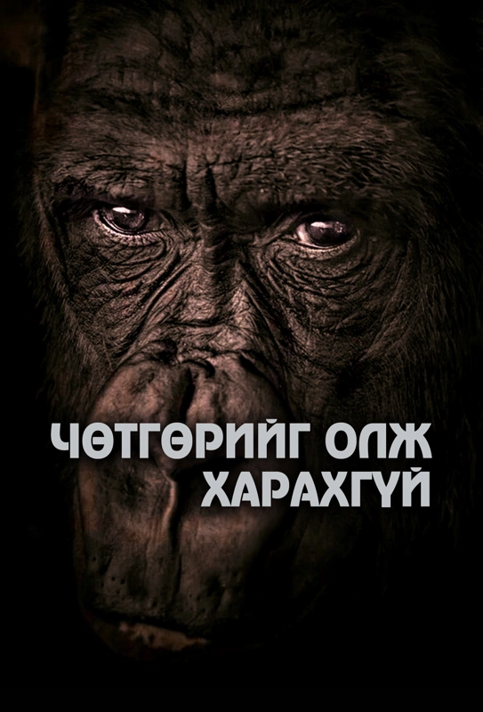 Чөтгөрийг олж харахгүй